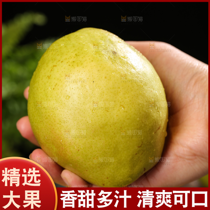 深底上的玉露香梨
