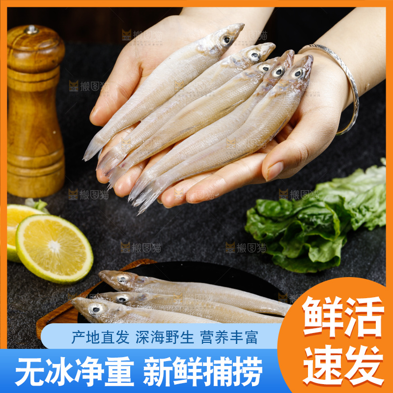 深底上的沙丁鱼