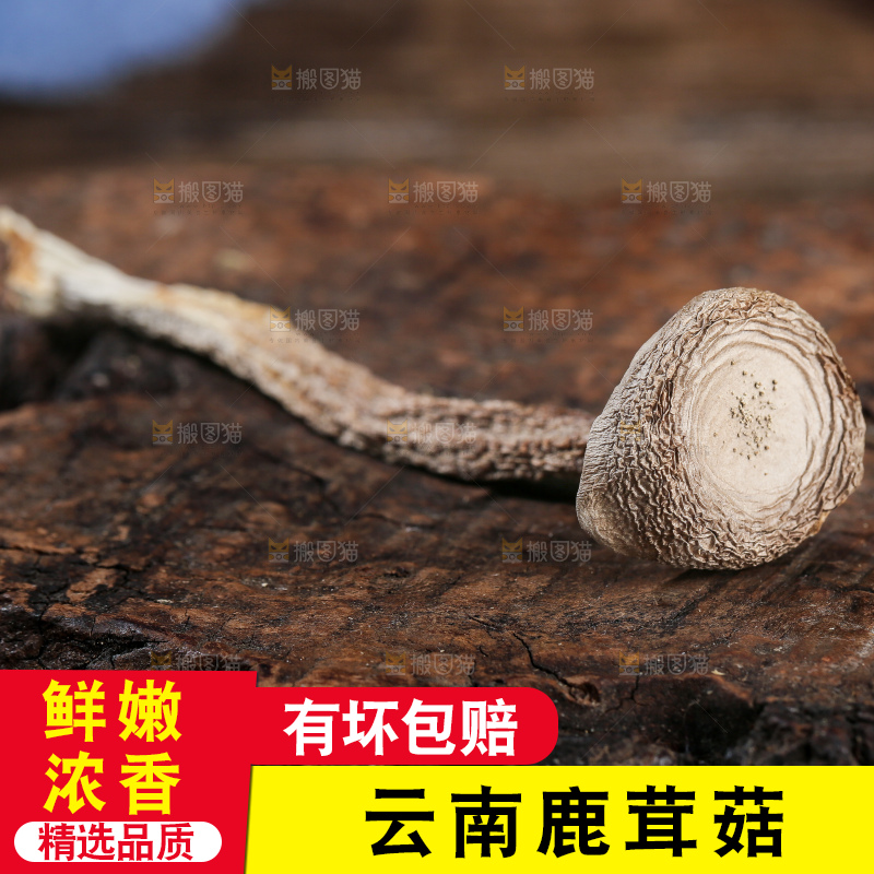 深底上的鹿茸菇