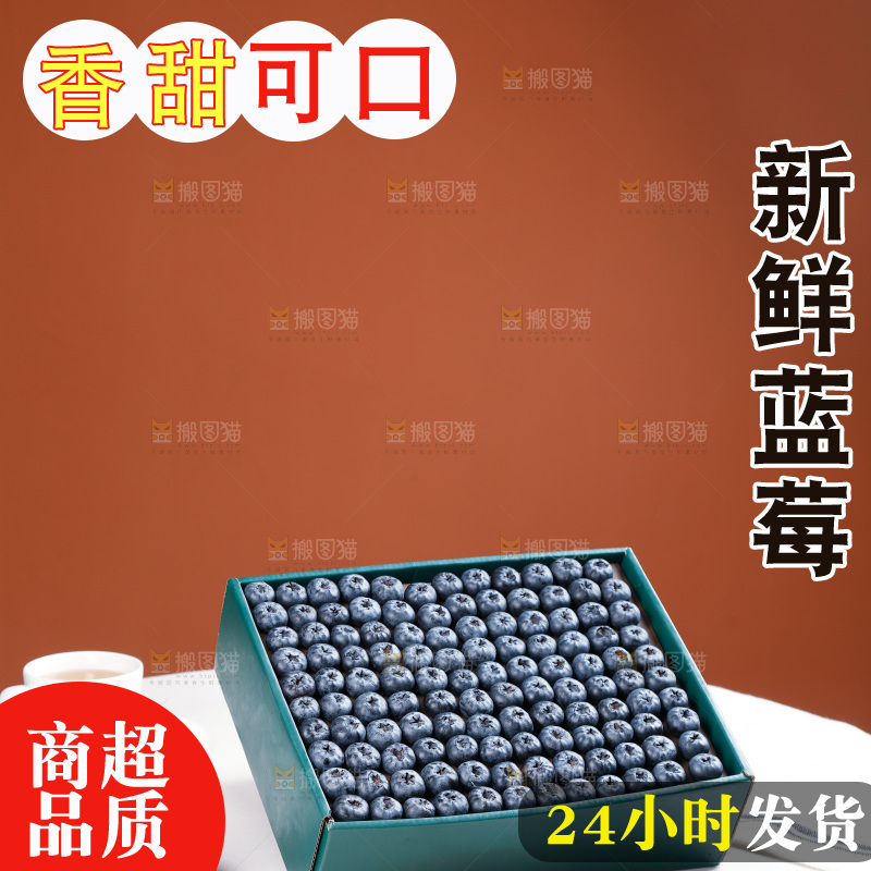 浅底上的新鲜蓝莓