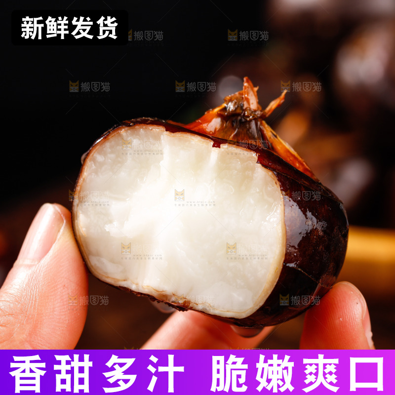 深底上的广西荔浦马蹄