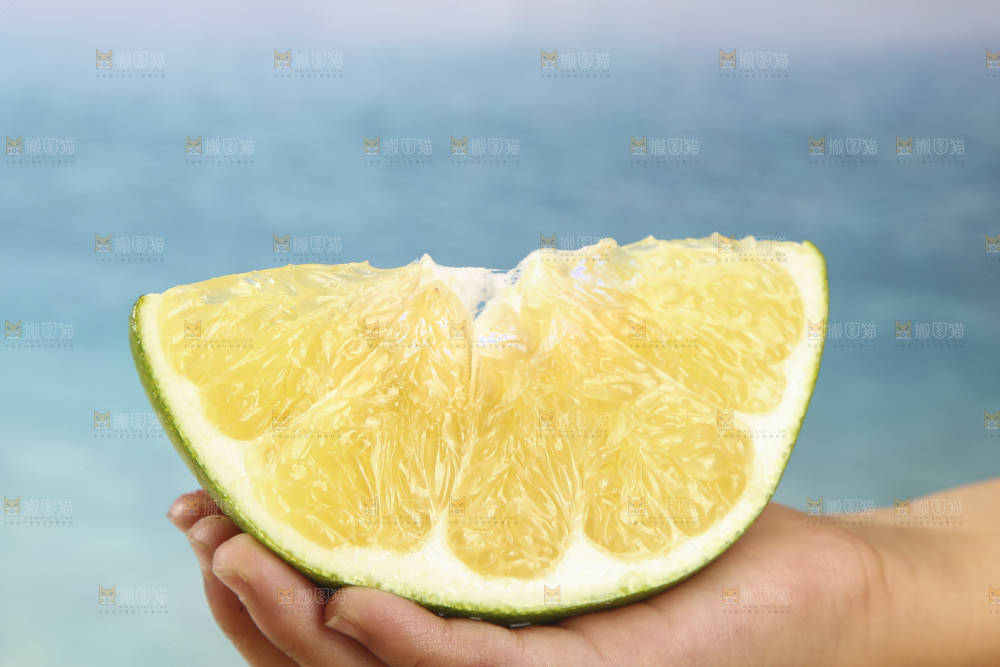 青皮葡萄柚