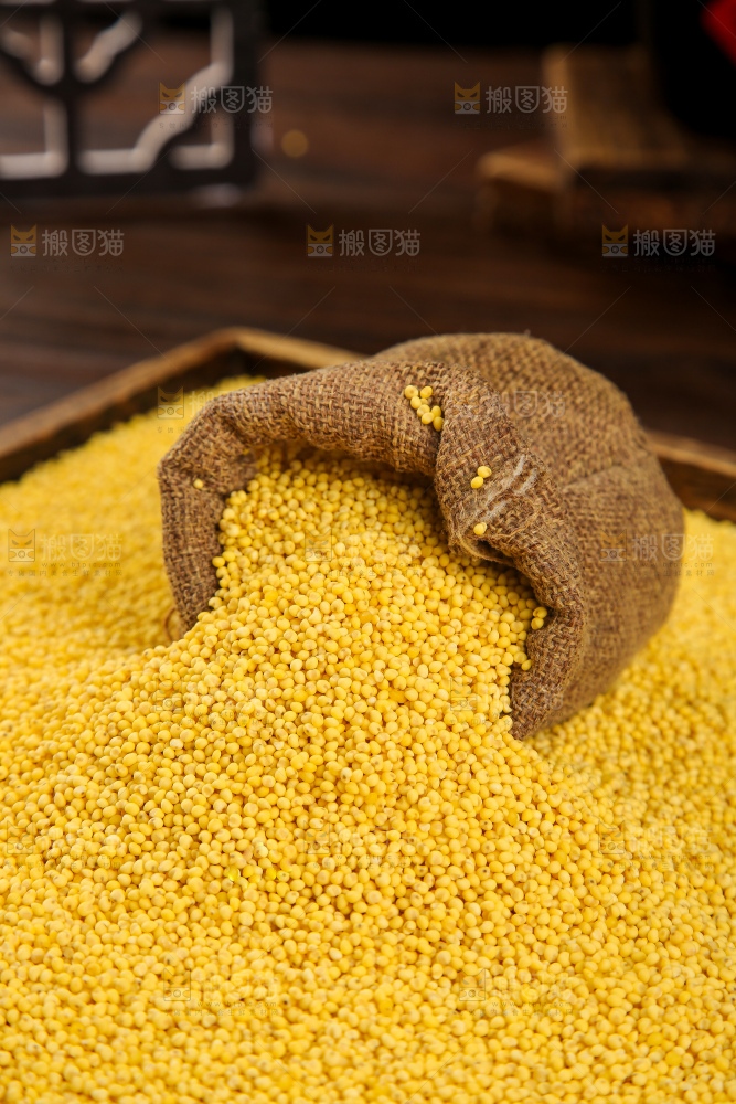 深底上的大黄米
