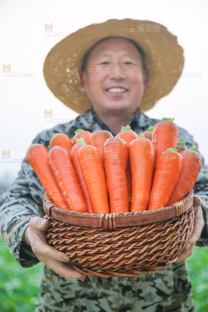 手里拿着胡萝卜