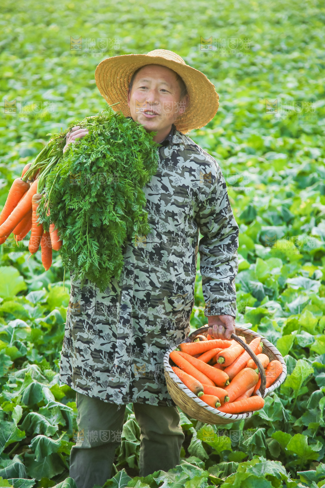 手里拿着胡萝卜