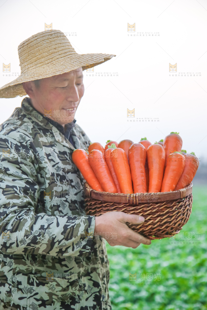 手里拿着胡萝卜