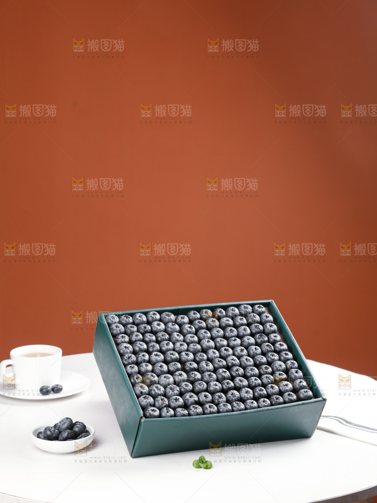 浅底上的新鲜蓝莓