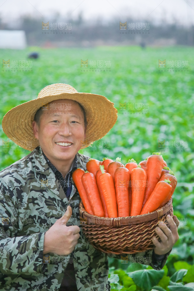 手里拿着胡萝卜