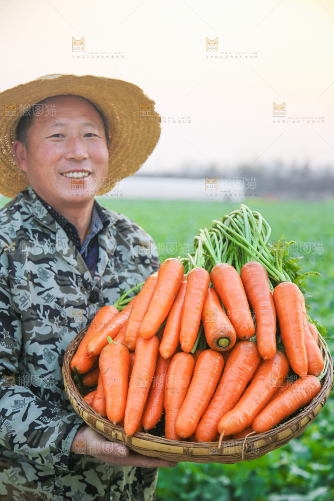 手里拿着胡萝卜