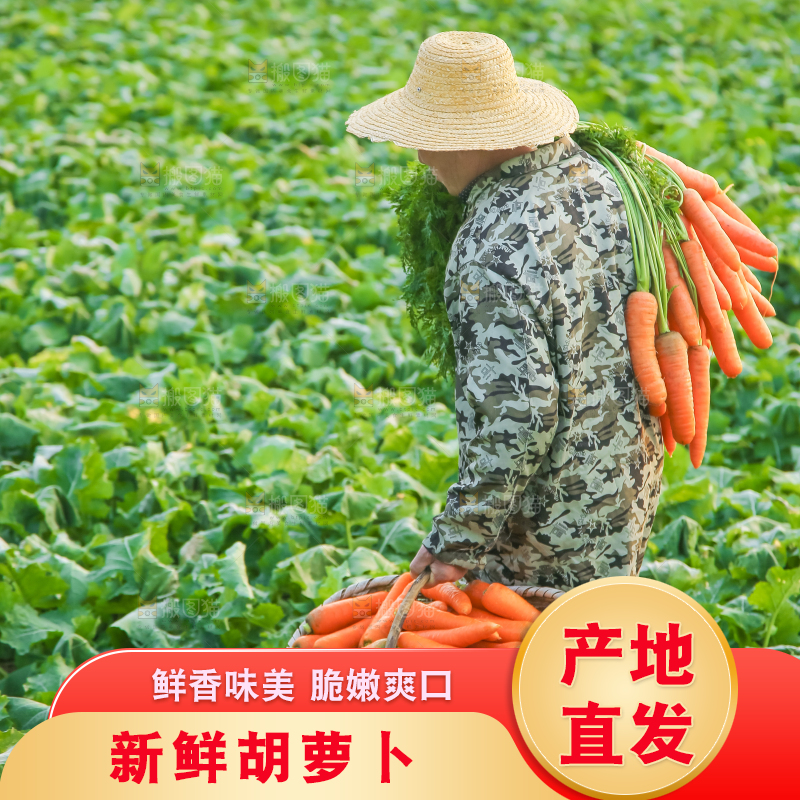 手里拿着胡萝卜