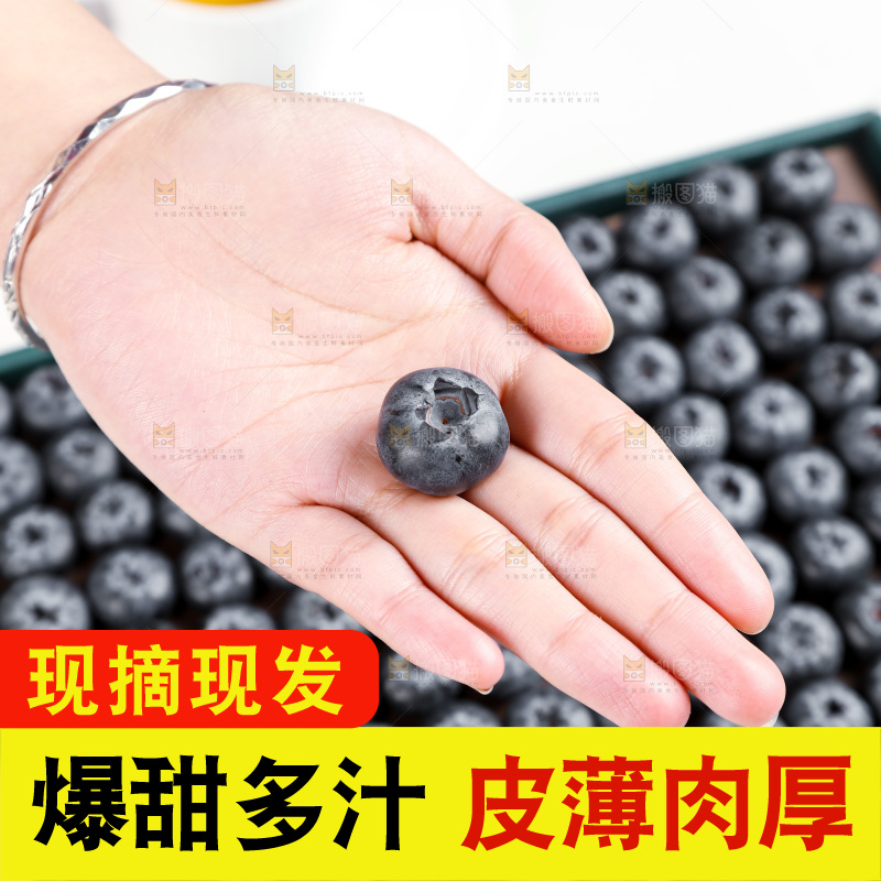 浅底上的新鲜蓝莓
