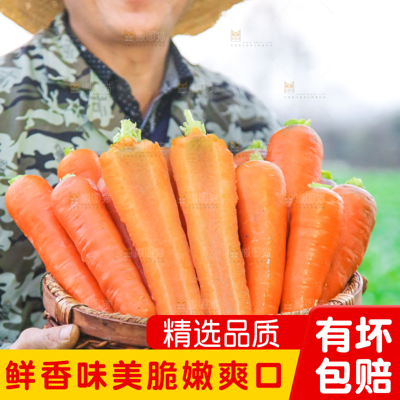 手里拿着胡萝卜