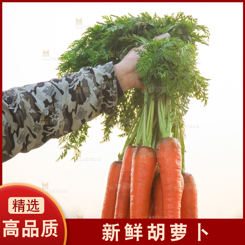 手里拿着胡萝卜