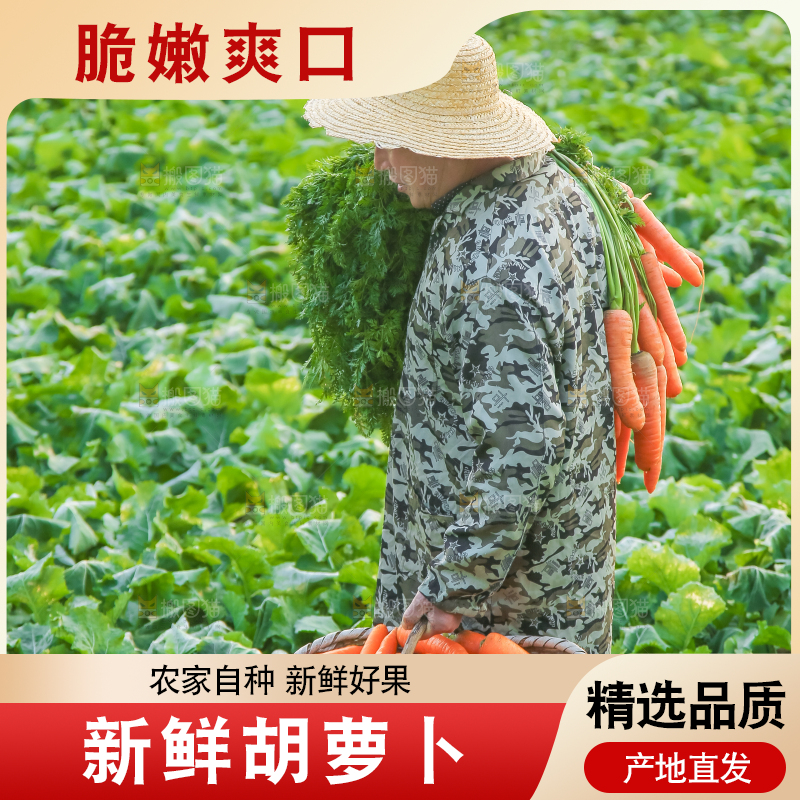 手里拿着胡萝卜