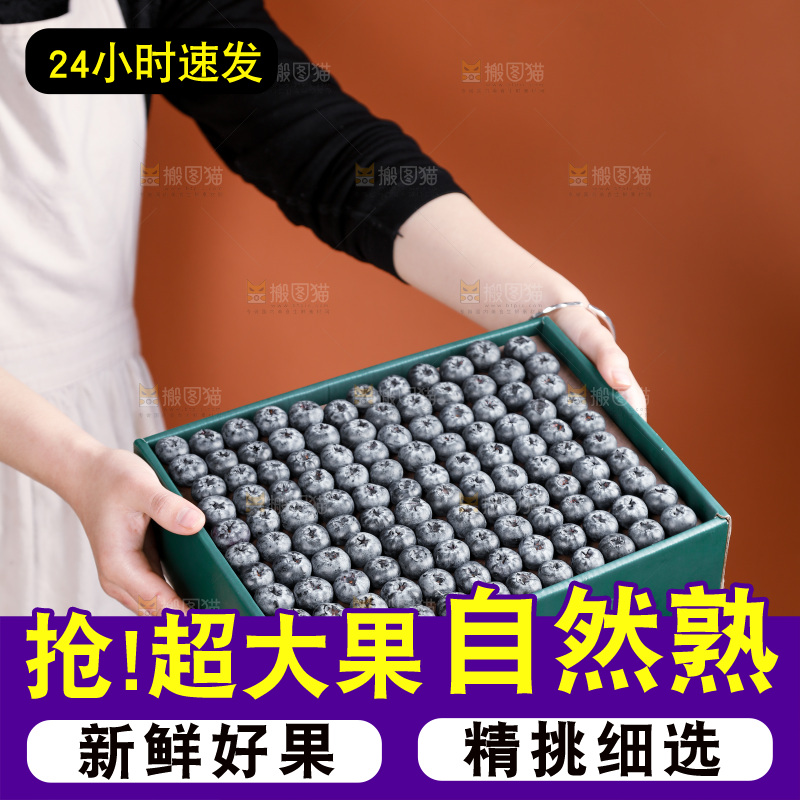 浅底上的新鲜蓝莓