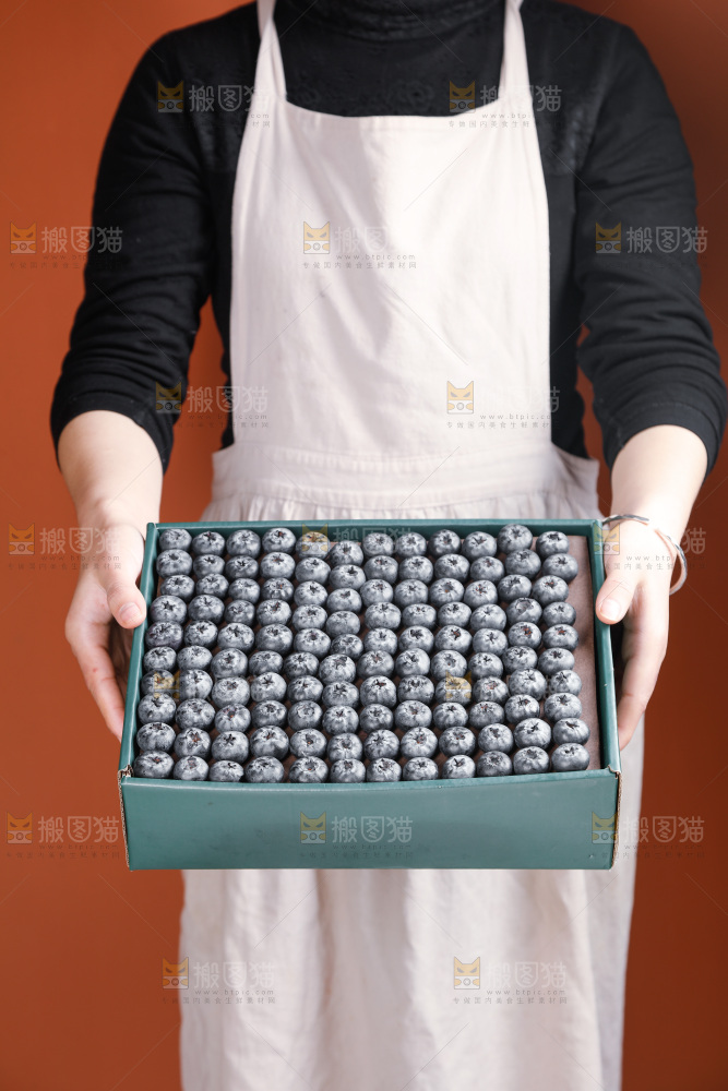 浅底上的新鲜蓝莓