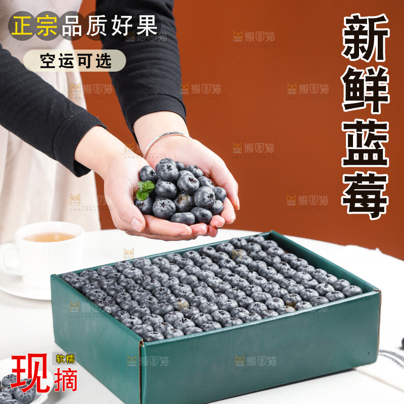 浅底上的新鲜蓝莓