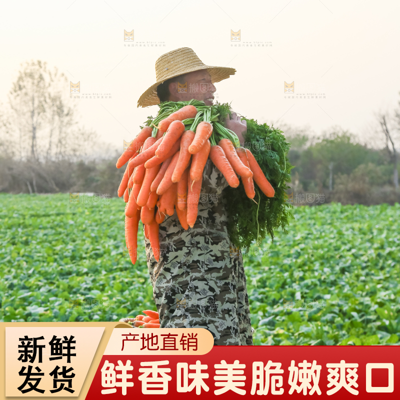 手里拿着胡萝卜