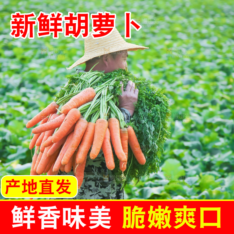 手里拿着胡萝卜