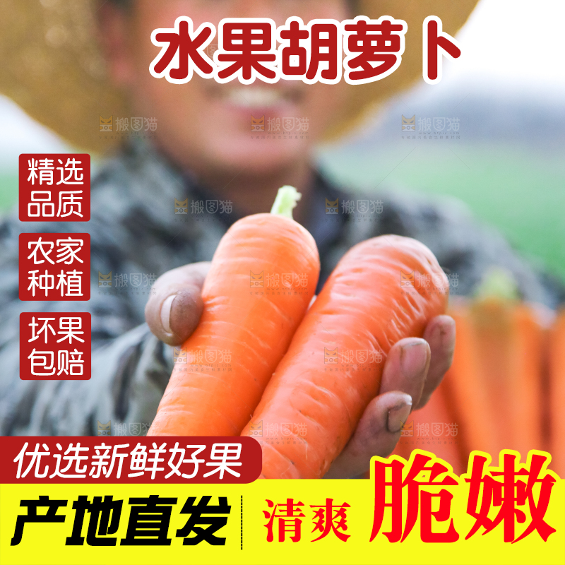 手里拿着胡萝卜
