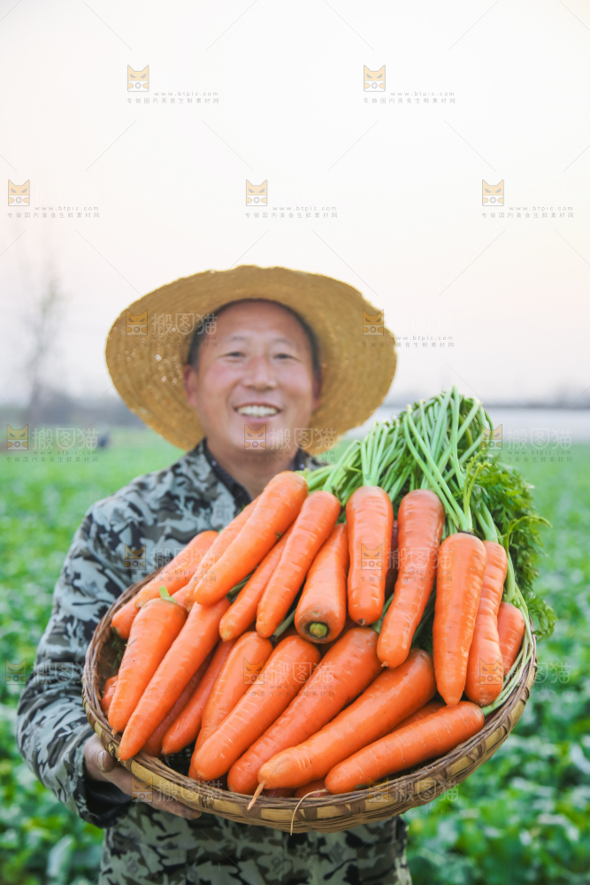 手里拿着胡萝卜