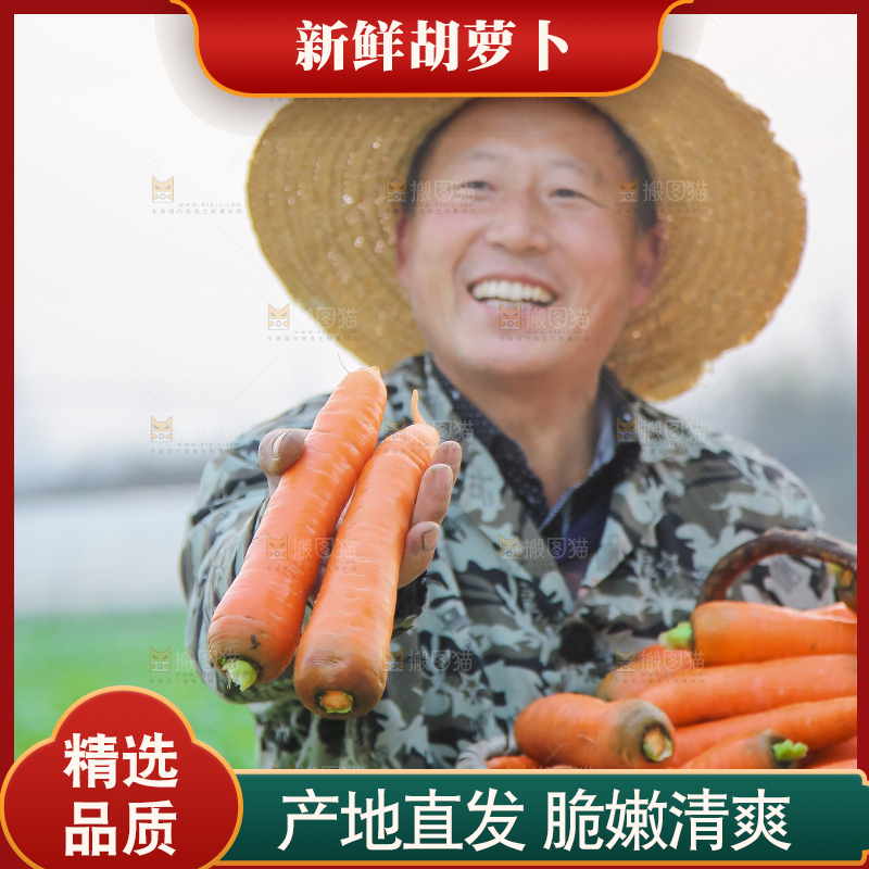 手里拿着胡萝卜