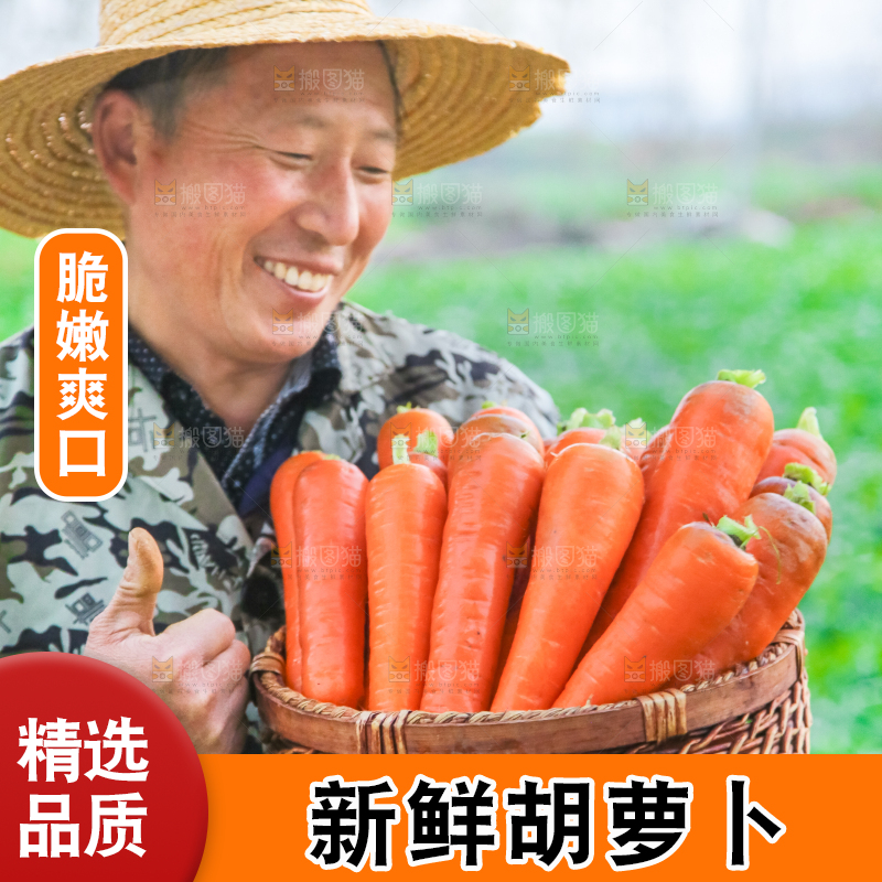 手里拿着胡萝卜
