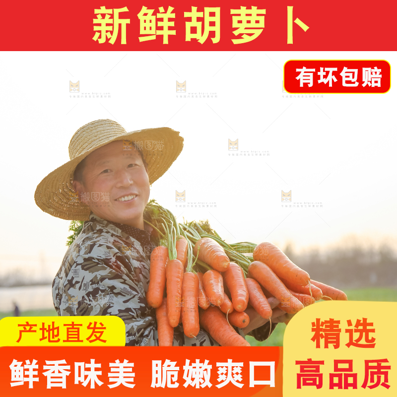 手里拿着胡萝卜