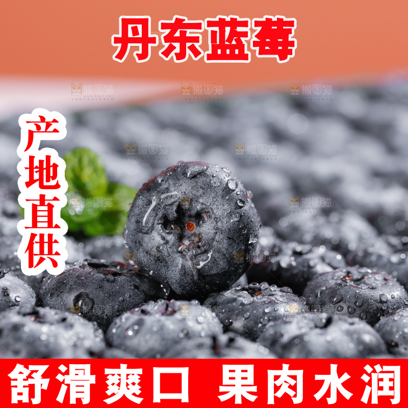 浅底上的新鲜蓝莓