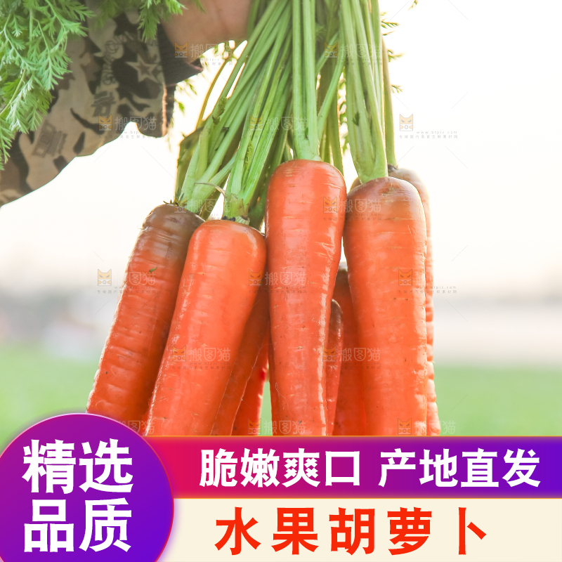 手里拿着胡萝卜