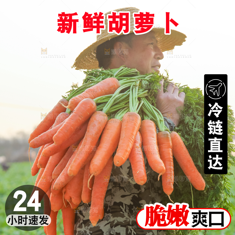 手里拿着胡萝卜