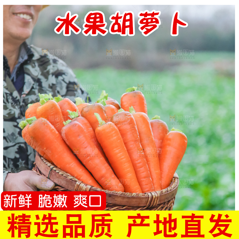 手里拿着胡萝卜