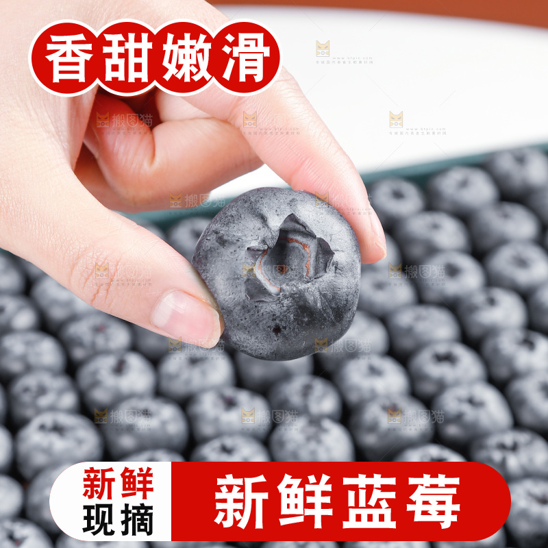 浅底上的新鲜蓝莓