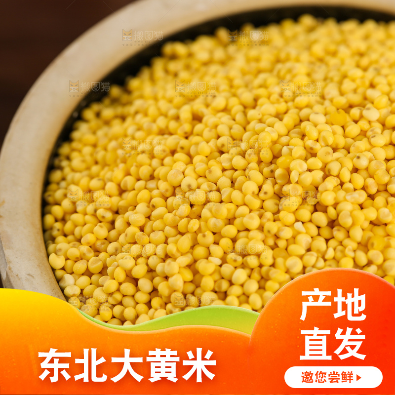 深底上的大黄米