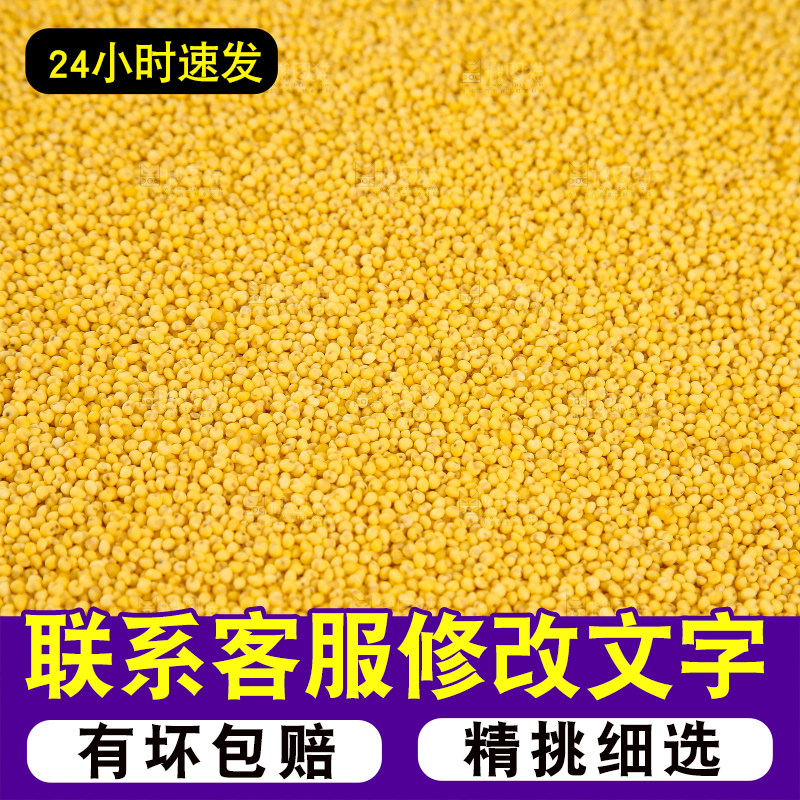 深底上的大黄米