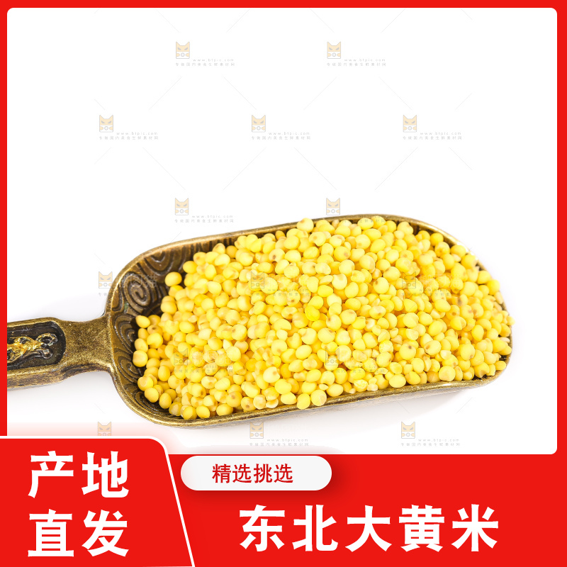 白底上的大黄米