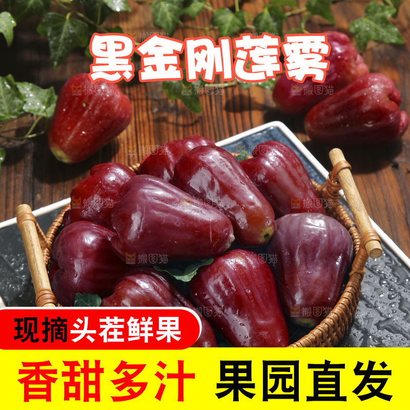 深底上的黑金刚莲雾