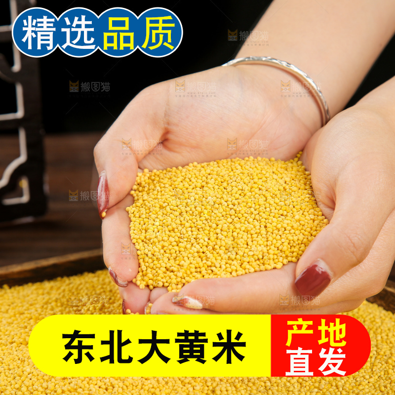 深底上的大黄米