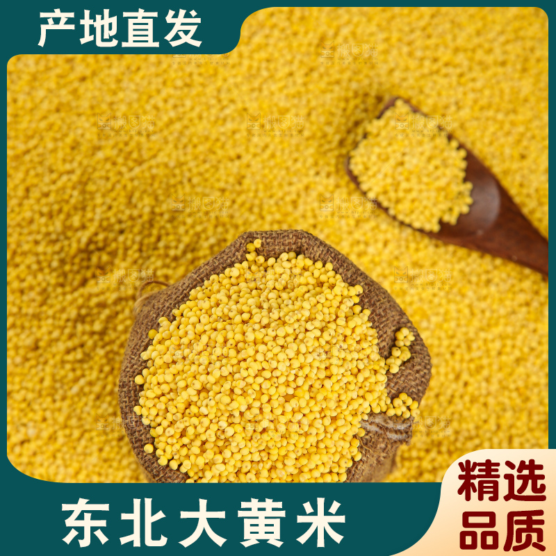 深底上的大黄米