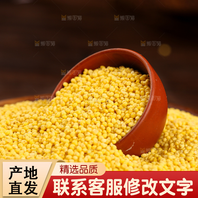 深底上的大黄米
