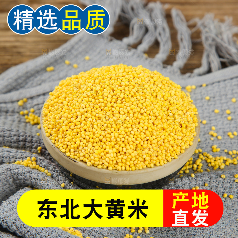 深底上的大黄米