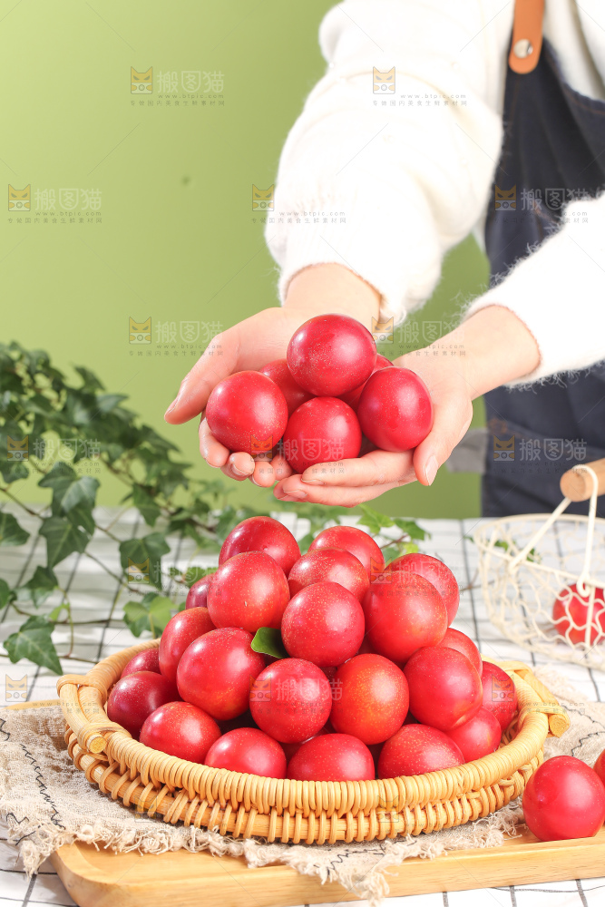 浅底上的樱桃李