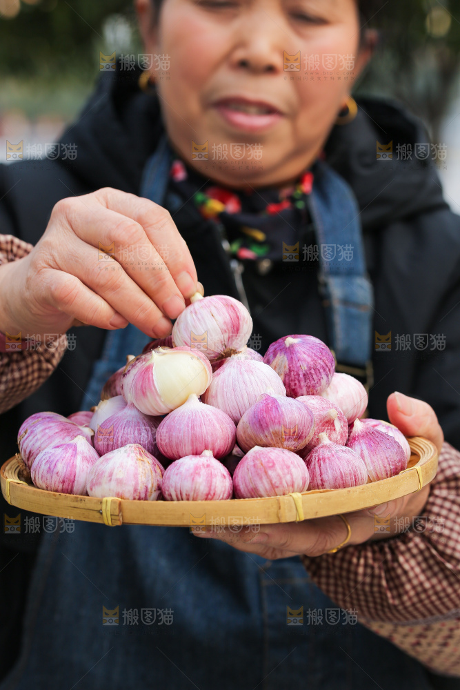 手里拿着紫皮独头蒜