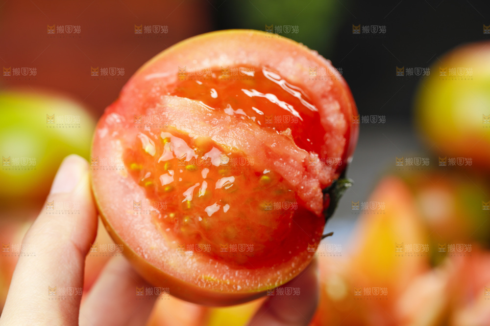 铁皮西红柿