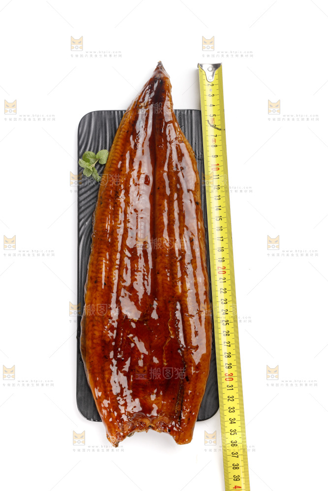白底上的照烧鳗鱼
