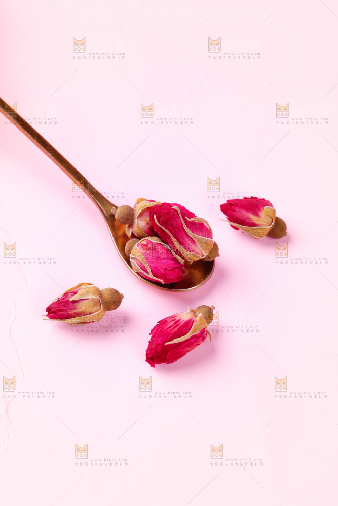 浅底上的玫瑰花干