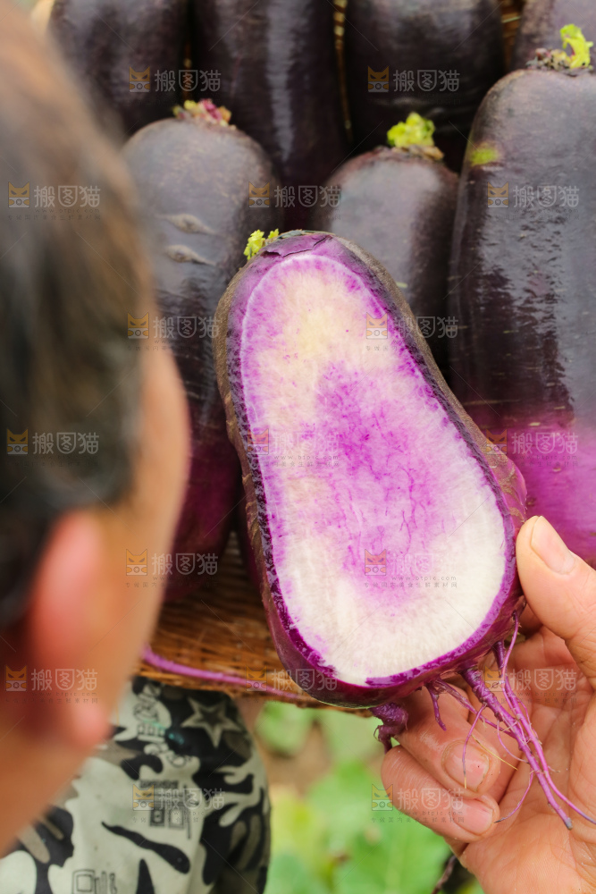 手里拿着冰淇凌萝卜