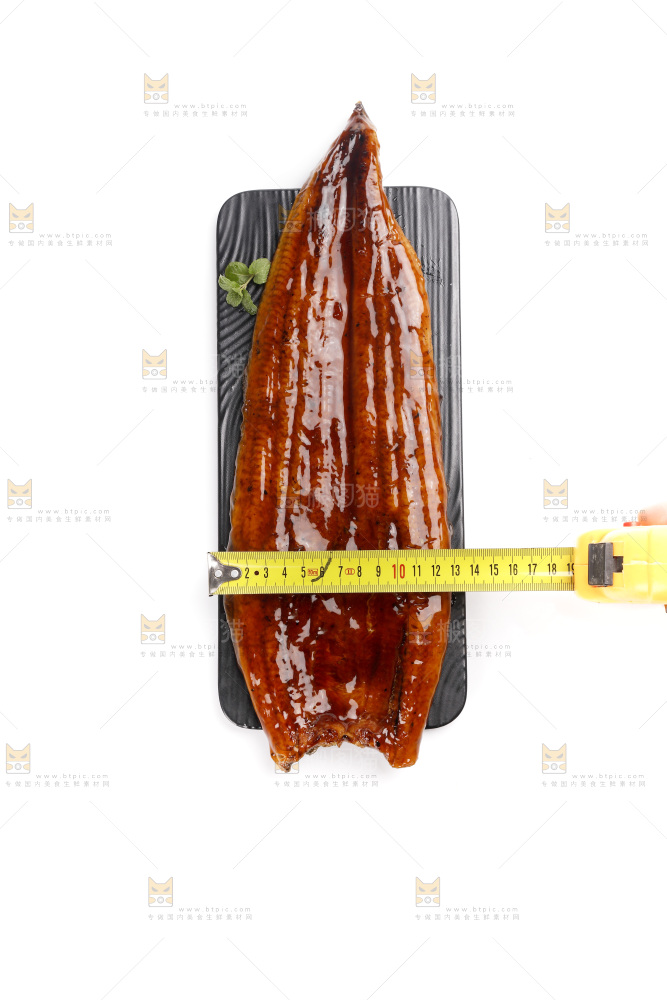 白底上的照烧鳗鱼
