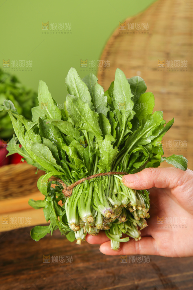 木底上的地菜
