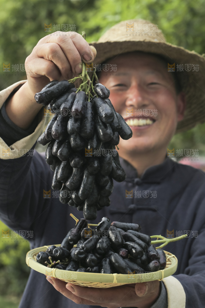 手里拿着蓝宝石葡萄